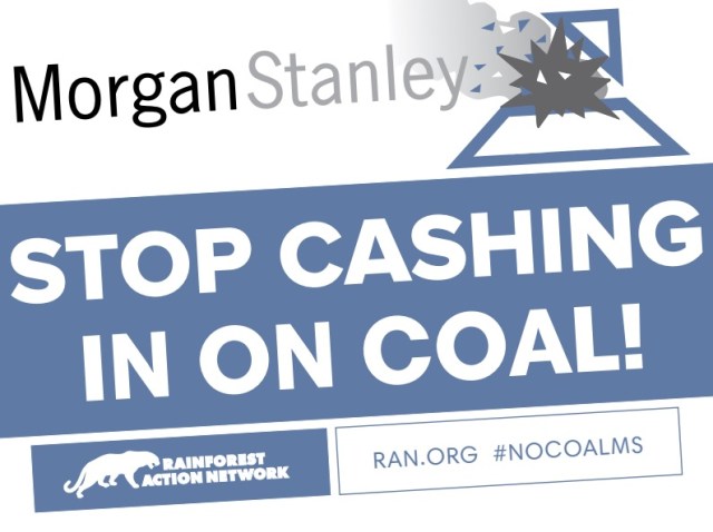 MorganStanleyCoal