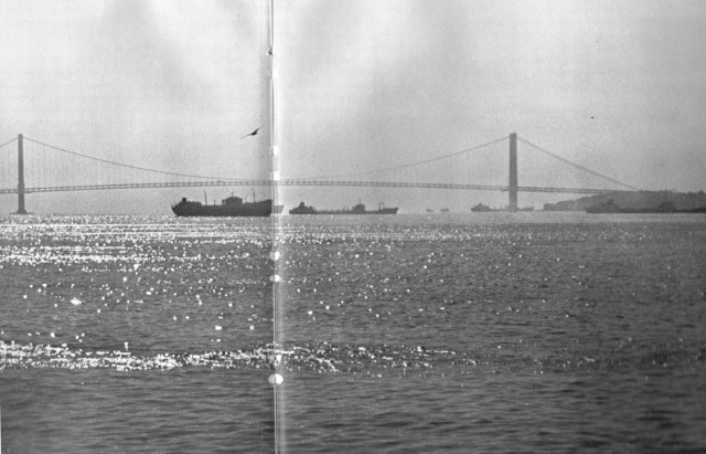 VerrazanoNarrowsBridge