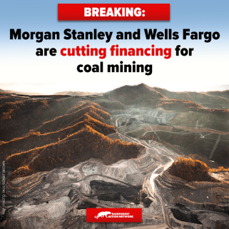 Morgan Stanley stops