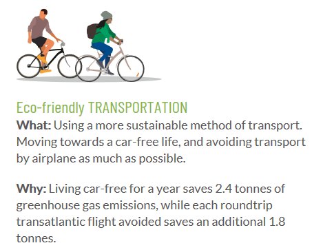 Eco friendly transportation